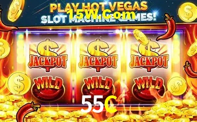 Login Seguro 55C