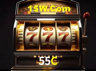 Sistemas de Segurança 55C